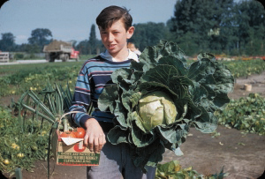 Jeune jardinier en 1975