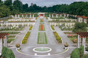 Archives du Jardin botanique de Montral - cote:J-6-103 