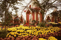 Fall exhibition: Thailand Garden - 1970 - Jardin botanique de Montréal (Archives) JBM001696