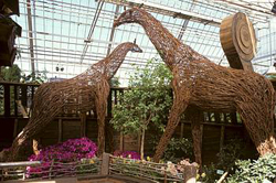 Exposition printanière et estivale: Arche de Noé - 2000 - 2001 Jardin botanique de Montréal (Michel Tremblay) JBM001920