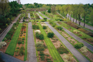 Archives du Jardin botanique de Montréal - cote:J_Arbustes