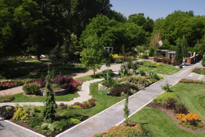 Archives du Jardin botanique de Montréal - cote:MT0000774 