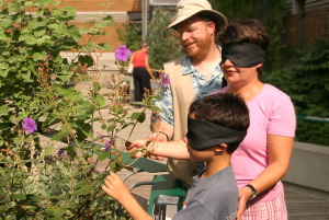 Archives du Jardin botanique de Montral - cote:MT0000802