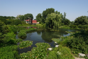 Pond at the Tree House - Jardin botanique de Montréal (Michel Tremblay) -MT0000947
