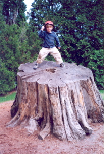 Jardin botanique de Montral (Archives)  - cote:i_250_2001