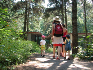 Jardin botanique de Montral (Archives) - call number:mt0005015 