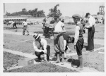 Garçons dans une serre en 1939