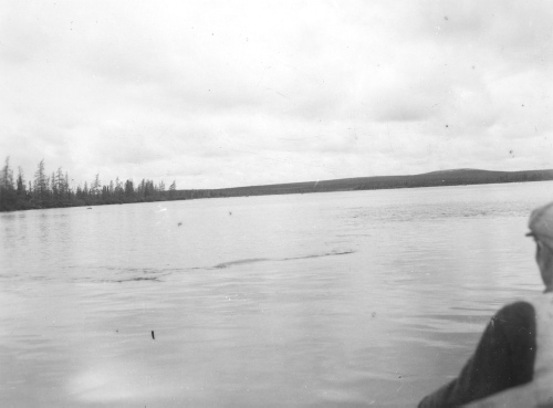 Collection Jacques Rousseau photo - c-3462-a-I-5196 -Rivière George. Après le premier rapide en aval du Lac Cabot par 54 degrès 57