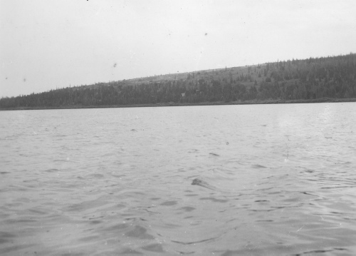 Jacques Rousseau Collection - c-3465-b-I-5203 -Lac Kopeteokash. Riv. George, vers 55 degrés 8 ' lat. N. Les collines à caribous se rendent maintenant jusqu 'à la rivière.