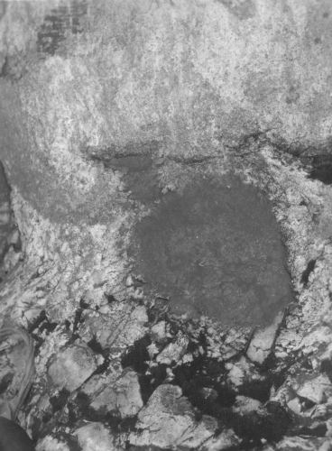 Collection Jacques Rousseau photo - c-3504-a-I-5290 -Flaque d 'eau sur le granit renfermant au fond une algue microscopique rouge sang. Riv. George, 55 degrés 41 ' lat. N.
