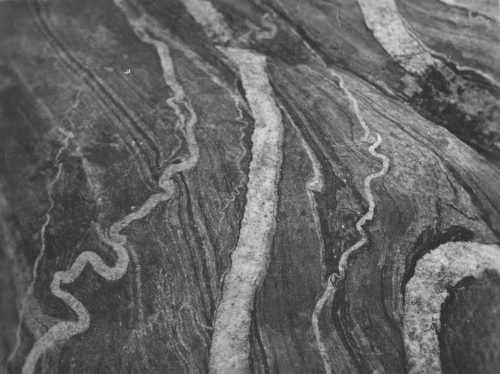 Collection Jacques Rousseau photo - c-3507-a-I-5296 -Des veines d 'aplite serpentent dans une masse de migmatite. Riviére George, vers 55 degrés 44 ' lat. N.