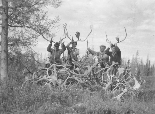 Jacques Rousseau Collection - c-3515-a-I-5312 -Bois de caribous provenant d 'une ancienne chasse sur la rivière George par 55 degrés 54 ' lat. N. et 64 degrés 42 ' long W.