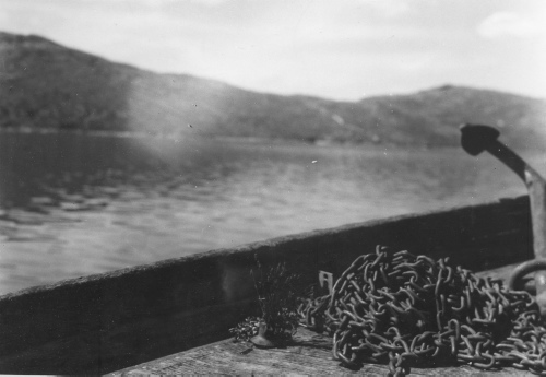 Jacques Rousseau Collection - c-3968-a-I-6332 -Sur l'Adloylik, bouquet de campanule sur le pont du bateau esquimau.