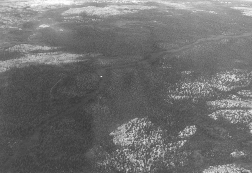 Collection Jacques Rousseau photo - c-3980-b-I-6357 -Zone h?miarctique, imm?diatement au sud de Fort-Chimo.