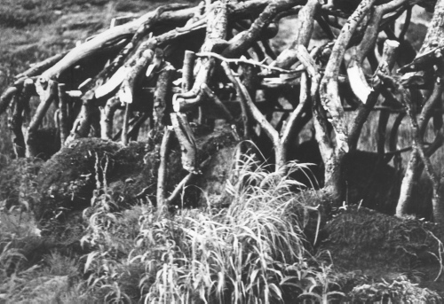 Collection Jacques Rousseau photo - c-3998-b-I-6393 -Camp esquimau en branches et tourbe sur l'Adloylik sup?rieur. Habitation d'hiver.