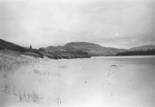 Collection Jacques Rousseau photo - c-4022-a-I-6440 -Dune de sable couverte d'Elymus et d'Alnus, 3e camp de la Korok, 20 mi. de la baie.
