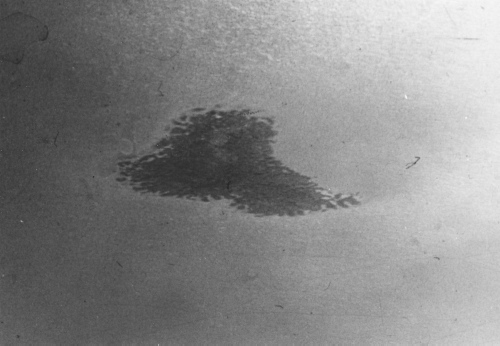 Collection Jacques Rousseau photo - c-4070-a-I-6536 -Cryoperturbation sub-aquatique, bordure d'une ?le, r?gion de Swampy bay ? env. 25 mi. au S.E. de Shale Falls.