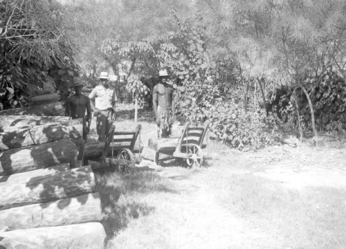 Jacques Rousseau Collection - c-757-d-I-1888 -HAITI. Port-au-Prince. Entrep?t de bois de ga?ac.