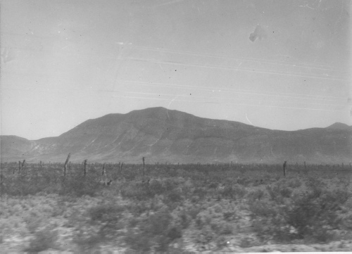Collection Jacques Rousseau photo - c-3132-b-I-4496 -Mexique. Yucca sp. D?sert le long du chemin de fer pr?s de Agua Nueva (Nord du Mexique).