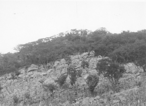 Collection Jacques Rousseau photo - c-3148-a-I-4527 -Mexique. Champ de ma?s sur colline rocheuse. Acuitlapan de las Grenadas (pr?s Tazco) Mexique.
