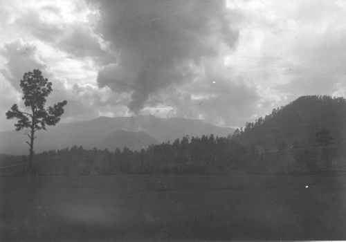 Collection Jacques Rousseau photo - c-3157-a-I-4544 -Mexique. Le Paricutin dans la for?t de pins (Mexique).