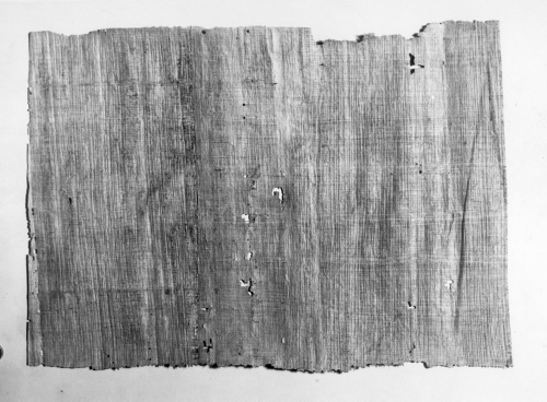 Collection Jacques Rousseau photo - c-3105-I-4441 -Papyrus (Cyperus papyrus) provenant de l'ancienne ?gypte. Epoque ptomlemaique (environ 300 ans avant J.-C.). Collection du Jardin botanique.