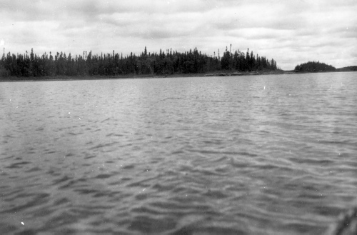 Collection Jacques Rousseau photo - c-646-a-I-1602 -Lac Albanel. Pointe St-Simon. Partout rivage bas et peu emballant.