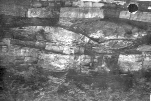 Collection Jacques Rousseau photo - c-668-b-I-1656 -Lac Mistassini, Ile Marie-Victorin, gros modules dans les strates de calcaire.
