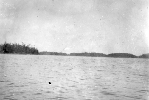 Collection Jacques Rousseau photo - c-690-c-I-1714 -Lac Albanel. Iles au sud du portage d'Opitchouane.