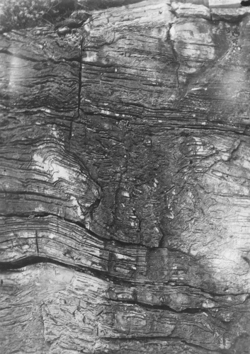 Jacques Rousseau Collection - c-3279-c-I-4808 -LAC MISTASSINI, entre la baie du Dryas et la pointe Coucouche, rocher ? strates minces ondul?es.