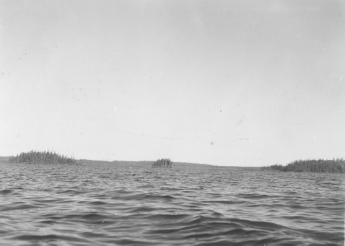 Collection Jacques Rousseau photo - c-3290-c-I-4831 -LAC MISTASSINI, panorama de la baie Riou (dans la baie Abatagouche) depuis les ?lets de la baie Riou au S.W. de cette baie).