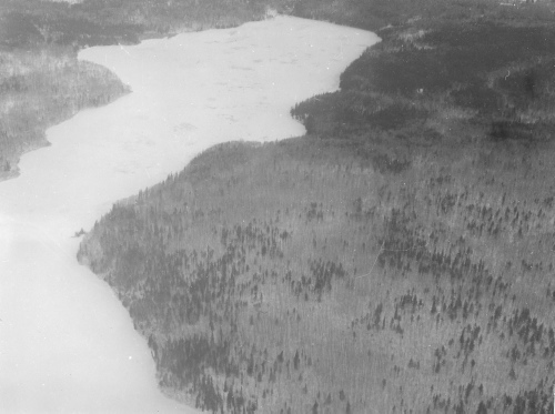 Collection Jacques Rousseau photo - c-3571-a-I-5426 -For?t de tremble et lac gel? ? la fin de la colonisation au Nord du lac Saint-Jean.