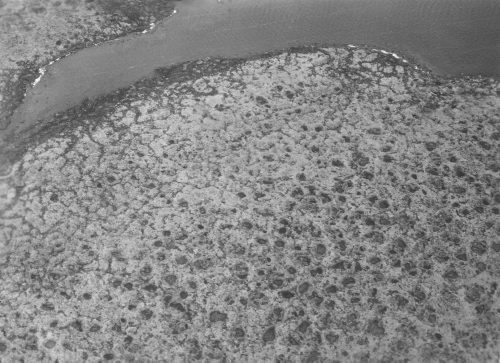 Collection Jacques Rousseau photo - c-3663-b-I-5618 -Ungava occidental, 5 min. au N. de Leaf river. Ostioles et solifluction. Vue a?rienne.