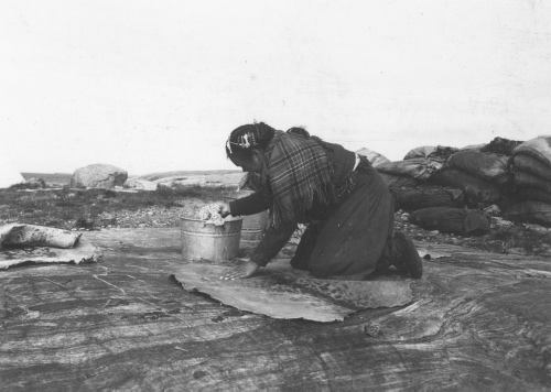Collection Jacques Rousseau photo - c-3667-b-I-5627 -Femmes eskimo de Povugnituk lavant et grattant les peaux de phoque.