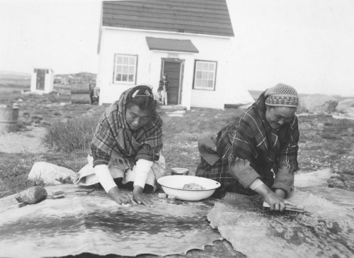 Collection Jacques Rousseau photo - c-3669-a-I-5631 -Femmes eskimo de Povugnituk lavant et grattant les peaux de phoque.