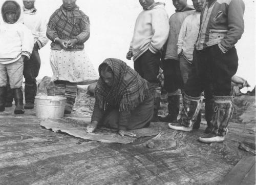 Jacques Rousseau Collection - c-3669-b-I-5632 -Femmes eskimo de Povugnituk lavant et grattant les peaux de phoque.