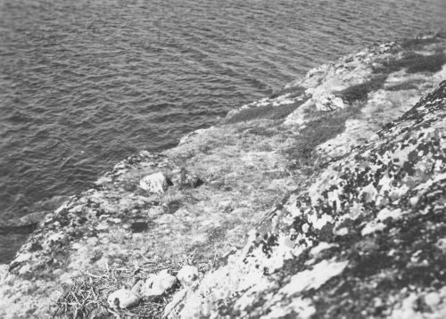 Collection Jacques Rousseau photo - c-3693-a-I-5679 -Nids de faucons, pr?s de la douzi?me chute de la Kogaluk, ? environ 61 milles de la baie d'Hudson.