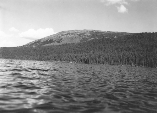 Jacques Rousseau Collection - c-3904-b-I-6170 -Flanc du pic des Monts Otish ? la base duquel se trouvait notre campement. Au-dessus de la for?t, toundra alpine.
