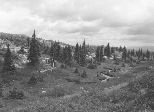 Jacques Rousseau Collection - c-3906-c-I-6177 -Monts Otish, ruisseau et vallon ? la ligne des arbres sur le pic du campement.