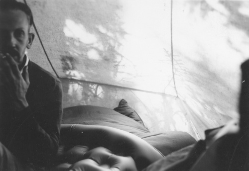 Collection Jacques Rousseau photo - c-3937-a-I-6254 -Monts Otish. Ombrage des sapins sur la tente, vu de l'int?rieur. Ren? Pomerleau.