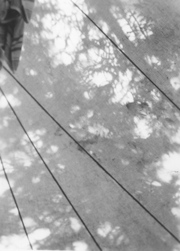 Collection Jacques Rousseau photo - c-3937-b-I-6255 -Monts Otish. Ombrage des sapins sur la tente, vu de l'int?rieur, le matin.