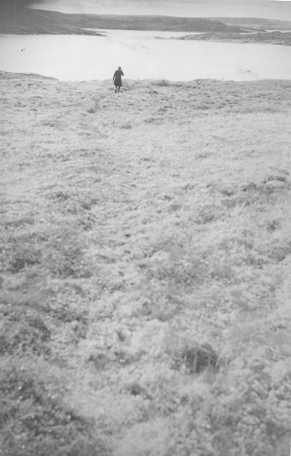 Collection Jacques Rousseau photo - c-3856-b-I-6081 -Trace de caribou sur la Kogaluk.