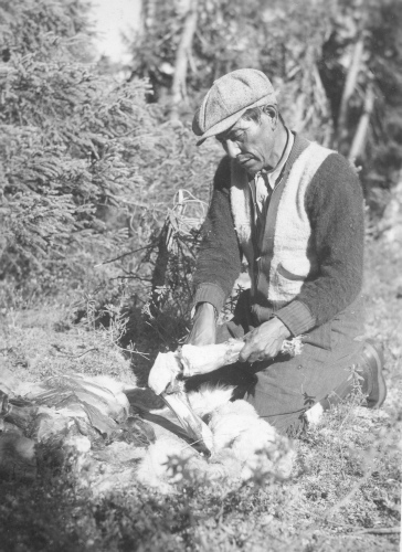 Jacques Rousseau Collection - c-3454-b-I-5179 -Lac Hubbard. Antoine gratte les os d 'une cuisse de caribou pour en extraire la moelle.