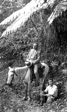Marie-Victorin on horseback in the Sierra Maestra.<br /><br /><div class="type">In the Loma del Gato (Cat mountain).<br /> My little white horse was a hard worker.</div>