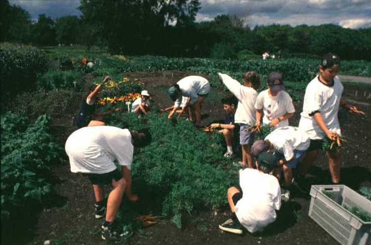 Youth Gardens