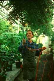 Treffl� Courchesne in his begonias collection