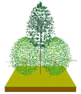 Accompagnement de proximit�