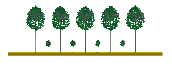 Plantation