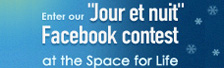 Jour et nuit Contest