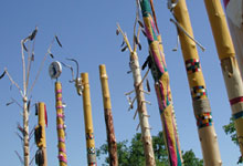 Totem poles. Photo: Michel Tremblay